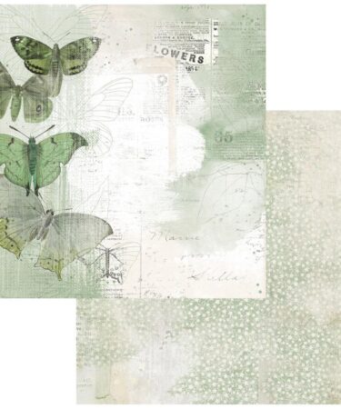 49 and MARKET - Color Swatch: - Collezione Willow -Double-Sided Cardstock 12"X12" - #3