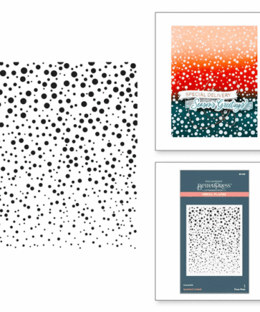 Spellbinders - Sprinkled Confetti Press Plates