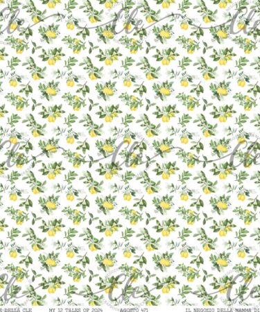 IL NEGOZIO DELLA MAMMA DI CLE - LE CARTE DELLA CLE - MY 12 TALES OF 2024 - AGOSTO NUM. 471