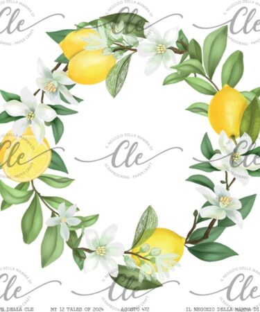 IL NEGOZIO DELLA MAMMA DI CLE - LE CARTE DELLA CLE - MY 12 TALES OF 2024 - AGOSTO NUM. 472