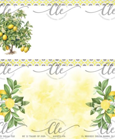 IL NEGOZIO DELLA MAMMA DI CLE - LE CARTE DELLA CLE - MY 12 TALES OF 2024 - AGOSTO NUM. 476