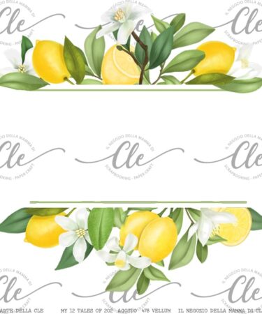 LE CARTE DELLA CLE – MY 12 TALES OF 2024 – AGOSTO - VELLUM NUM 478