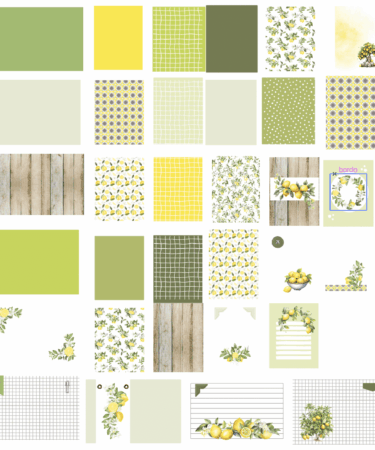 IL NEGOZIO DELLA MAMMA DI CLE – LE TESSERE DEL PROJECT LIFE DELLA CLE – MY 12 TALES OF 2024 - AGOSTO