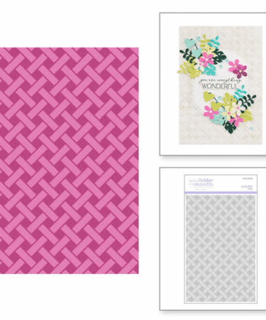 SPELLBINDERS - EMBOSSING FOLDER DEL MESE DI MAGGIO- Latticework