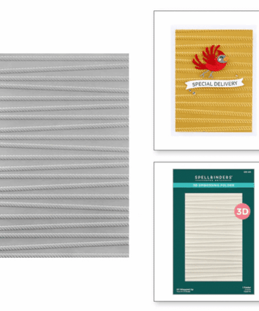 SPELLBINDERS - All Wrapped Up 3D Embossing Folder
