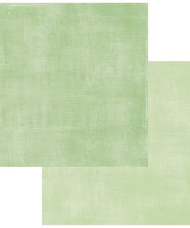 49 and Market - Collezione Evergreen Season - Double-Sided Cardstock 12"X12" -Solids 5