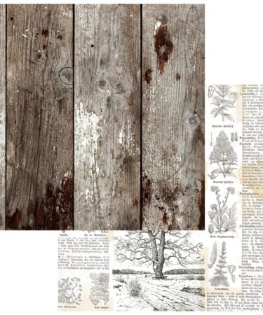 49 And Market - Collezione Vintage Orchard - Double-Sided Cardstock 12"X12" - Woodgrained
