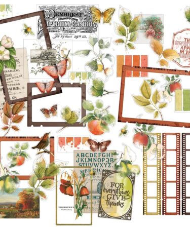 Alternative view of 49 And Market - Collezione Vintage Orchard -  Acetate Assortment Set