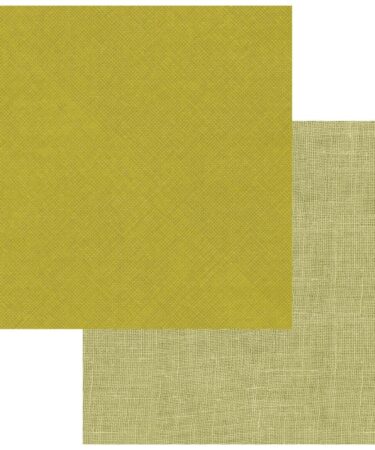 49 And Market - Collezione Vintage Orchard - Double-Sided Cardstock 12"X12" - Solids 5