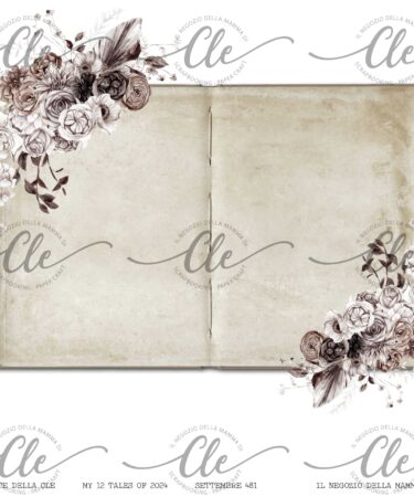 IL NEGOZIO DELLA MAMMA DI CLE - LE CARTE DELLA CLE - MY 12 TALES OF 2024 - SETTEMBRE  NUM.  481