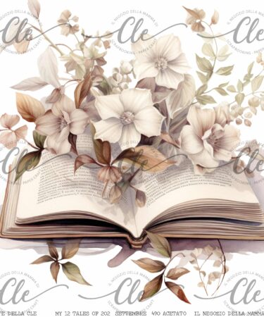 IL NEGOZIO DELLA MAMMA DI CLE - LE CARTE DELLA CLE – MY 12 TALES OF 2024 – SETTEMBRE- ACETATO NUM 490