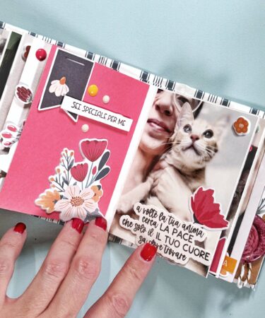 Alternative view of UN MINI CON LA COLLEZIONE DI LUGLIO 2024 -PRODOTTO CONTENITORE