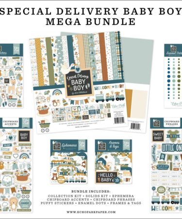 ECHO PARK - Special Delivery Baby Boy Mega Bundle