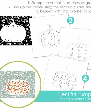 TAYLORED EXPRESSIONS - Plentiful Pumpkin Stamp & Stencil Combo