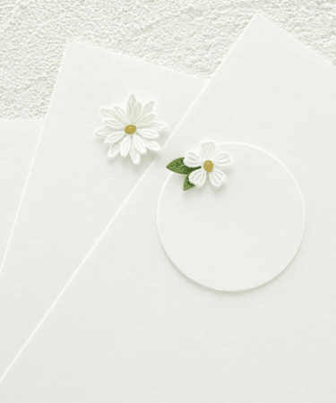 SPELLBINDERS - Color Essentials Cardstock 8.5" x 11" - SNOWDRIFT