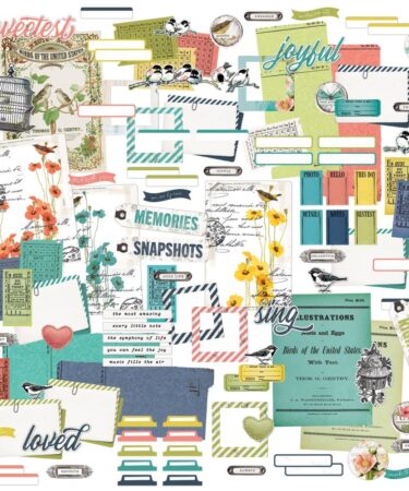 Alternative view of 49 And Market - Collezione Birdsong  -  Ephemera Bits