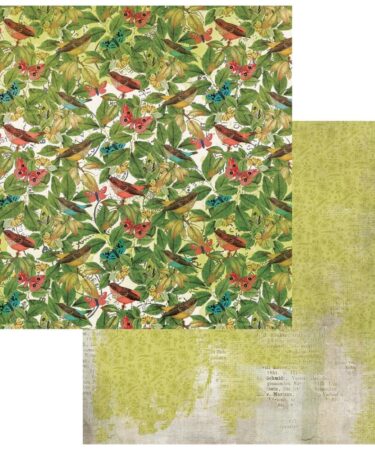 49 And Market - Collezione Birdsong  -  Double-Sided Cardstock 12"X12" - Harmoneous Symphany