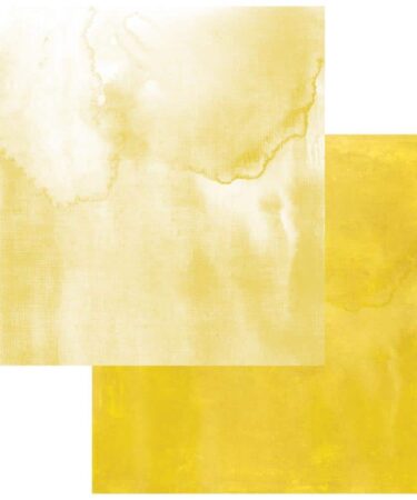 49 And Market - Collezione Birdsong  -  Double-Sided Cardstock 12"X12" - Solids 5