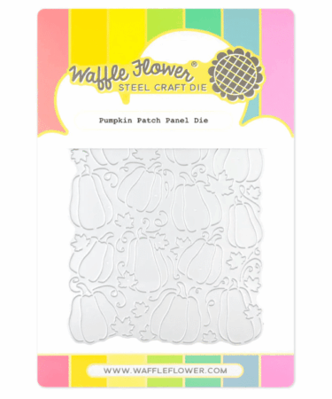 IL NEGOZIO DELLA MAMMA DI CLE – USATI DALLA CLE –Waffle Flower  - Pumpkin Patch Panel Die