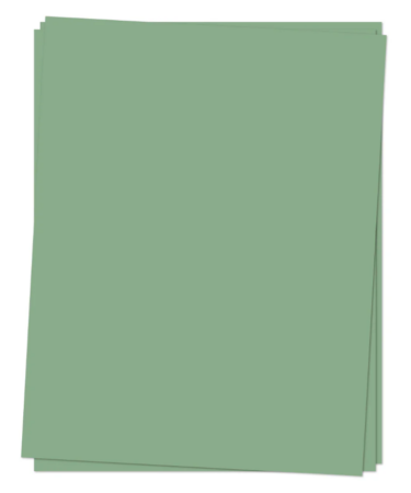 Concord & 9th - Cartoncino singolo A4 -  Eucalyptus