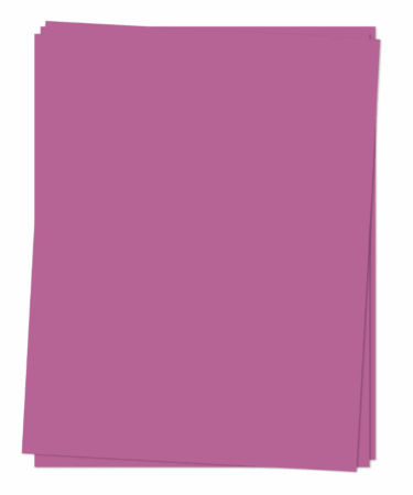 Concord & 9th - Cartoncino singolo A4 -  Fig