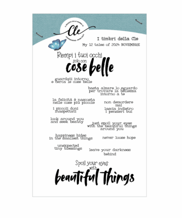 IL NEGOZIO DELLA MAMMA DI CLE - I TIMBRI DELLA CLE – MY 12 TALES OF 2024 - NOVEMBRE- TIMBRO + FUSTELLE COORDINATE