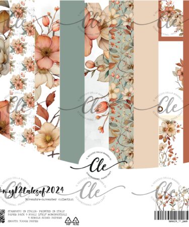 IL NEGOZIO DELLA MAMMA DI CLE - LE CARTE DELLA CLE - MY 12 TALES OF 2024 -  NOVEMBRE- PAPER PACK