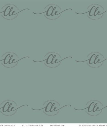 IL NEGOZIO DELLA MAMMA DI CLE - LE CARTE DELLA CLE - MY 12 TALES OF 2024 - NOVEMBRE NUM. 506