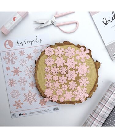 ALUA CID - Collezion Dadivan die set