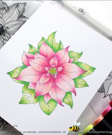 CORSO ON LINE- LA POINSETTIA DI NATALE CON MONICA MY BONNET BEE-14 dicembre ore 9.30