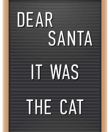 DECEMBER DAILY 2024- LE LETTERBOARD DELLA DONATO -5