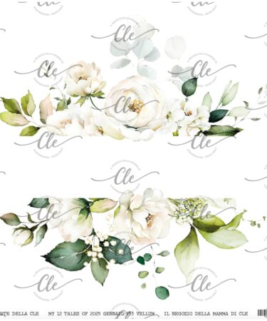 IL NEGOZIO DELLA MAMMA DI CLE - LE CARTE DELLA CLE –MY 12 TALES OF  2025- GENNAIO  - VELLUM NUM  533