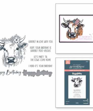 SPELLBINDERS - Clover BetterPress Plate & Die Set