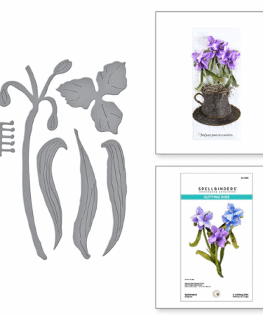 SPELLBINDERS - Spiderwort Etched Dies