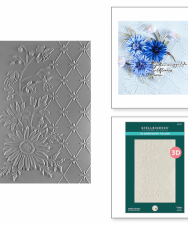 SPELLBINDERS - Wildly Beautiful 3D Embossing Folder