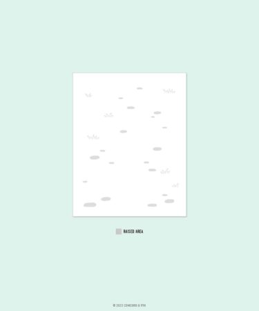 CONCORD & 9TH - Along The Path Embossing Folder