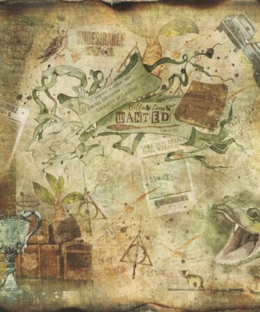 BELLALUNA WANTED COLLECTION 12X12"(12 carte)