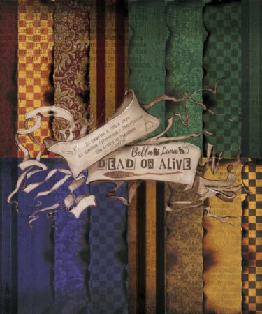 BELLALUNA DEAD OR ALIVE COLLECTION 12X12" (24 carte)