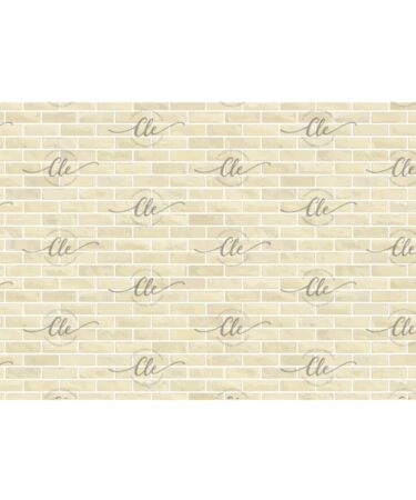 IL NEGOZIO DELLA MAMMA DI CLE - LE CARTE DELLA CLE – MY 12 TALES OF 2025 -MARZO - CARTA PER RIVESTIMENTO N.252