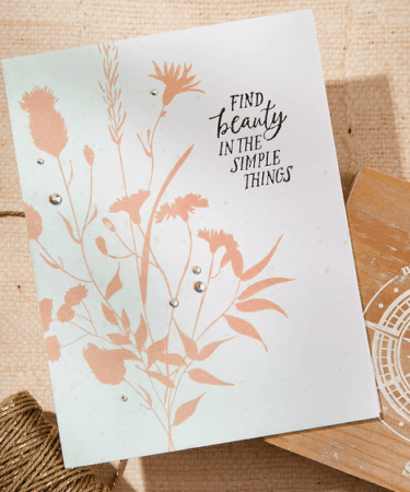 Alternative view of SPELLBINDERS -Field Notes Sentiments Clear Stamp