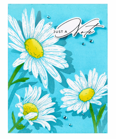 Alternative view of SPELLBINDERS -Daisy Trio Press Plates