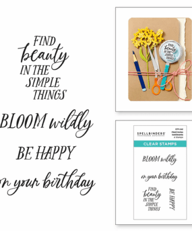 SPELLBINDERS -Field Notes Sentiments Clear Stamp