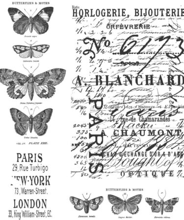 IL NEGOZIO DELLA MAMMA DI CLE – USATI DALLA CLE – Tim Holtz Cling Stamps 7"X8.5" - Papillon