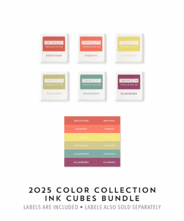Concord & 9th - 2025 Color Collection Ink Cubes Bundle