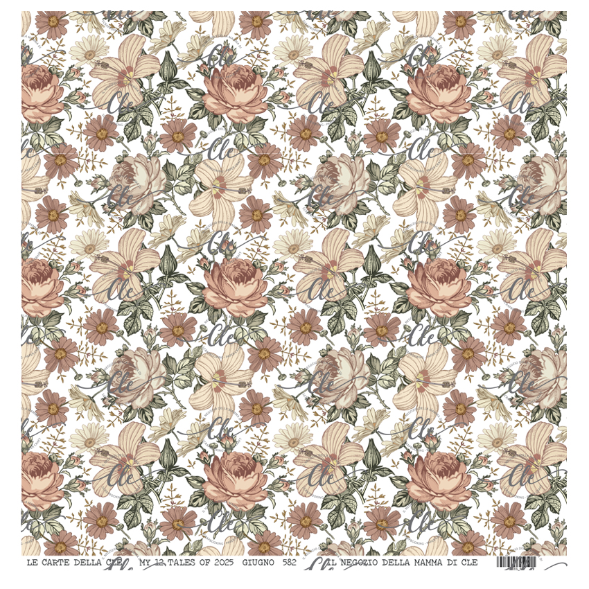 IL NEGOZIO DELLA MAMMA DI CLE - LE CARTE DELLA CLE - MY TALES OF 2025- GIUGNO- NUM. 582