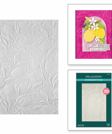 SPELLBINDERS -Embossing folder - Lemon Fresco 3D