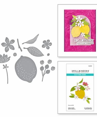 SPELLBINDERS - set di fustelle - Citrus Spritz