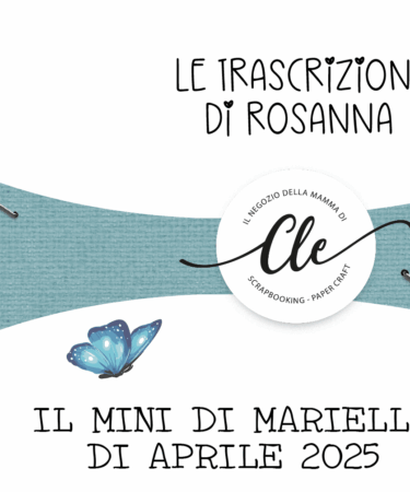 LE TRASCRIZIONI DEI LIVE- IL MINI DI MARIELLA DI APRILE 2025 - LIVE 17 MAGGIO