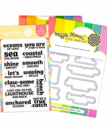 WAFFLE FLOWER - Coastal Greetings Combo