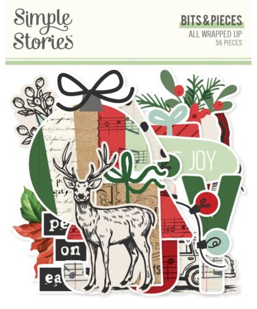 SIMPLE STORIES - Collezione All Wrapped Up - Bits & Pieces